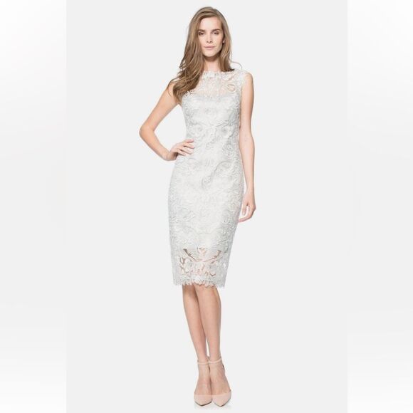 Tadashi Shoji Mendy Corded Embroidered Lace Tulle Dress - Picture 1 of 13